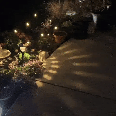 LED Firefly Lights Solar Powered (10 LEDs)